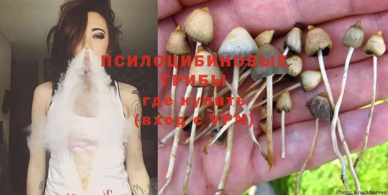 Галлюциногенные грибы MAGIC MUSHROOMS  мориарти официальный сайт  Арск  цены  